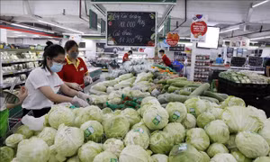Hỗ trợ tiêu thụ nông sản nội địa để giảm áp lực cho xuất khẩu