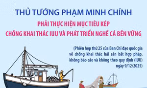 Thực hiện mục tiêu kép chống khai thác IUU và phát triển nghề cá bền vững