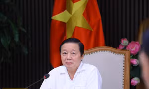 Khẩn trương xây dựng, hoàn thiện cơ sở dữ liệu về sở hữu trí tuệ
