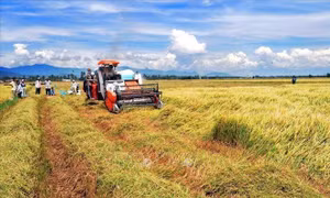 Phát triển kinh tế vùng đồng bào dân tộc thiểu số và miền núi: Bài 1- Khoa học công nghệ là nền tảng