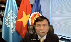 Việt Nam, Indonesia kêu gọi các bên tại Colombia tăng cường đối thoại
