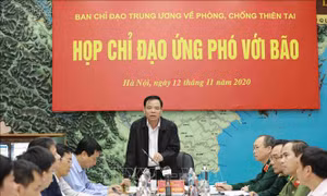 Bão số 13 khó đoán định, nhiều khả năng đổ bộ vào Trung Trung Bộ từ đêm 13/11