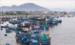 Ninh Thuận thành lập 3 đoàn kiểm tra tại các vùng xung yếu