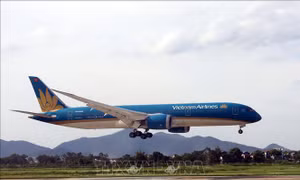 Vietnam Airlines lọt top 50 thương hiệu dẫn đầu 2020 do Forbes bình chọn