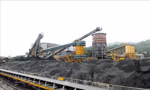 Siết chặt quản lý xuất nhập khẩu một số mặt hàng để hỗ trợ sản xuất tiêu dùng
