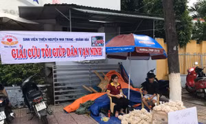Tỏi rớt giá, nguy cơ đổ bỏ hàng trăm tấn tại Khánh Hòa