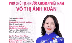 Phó Chủ tịch nước CHXHCN Việt Nam Võ Thị Ánh Xuân