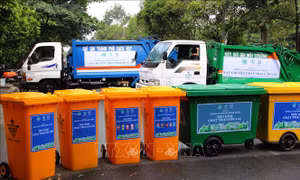Phân loại rác thải tại nguồn: Để chính sách phát huy hiệu quả
