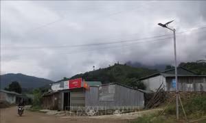 Hiệu quả từ chính sách 'đỡ đầu' cho đồng bào dân tộc thiểu số