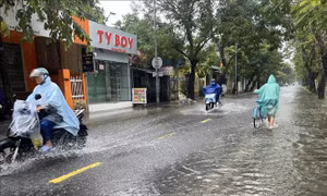 Thời tiết đêm 9/12 và ngày 10/12: Huế và duyên hải Nam Trung Bộ có mưa vừa, mưa to