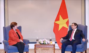 Thủ tướng Phạm Minh Chính tiếp Tổng Giám đốc IMF