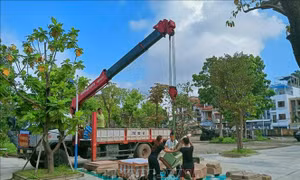 Bảo tàng lịch sử Thừa Thiên - Huế di dời hiện vật đến địa điểm mới