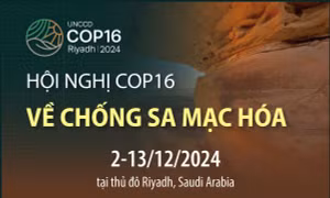 Hội nghị COP16 về chống sa mạc hóa