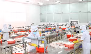 Tháo gỡ thủ tục hành chính cho doanh nghiệp nông nghiệp