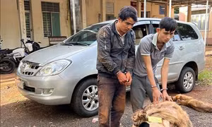 Cảnh sát giao thông truy đuổi, bắt giữ băng nhóm dùng ô tô đi trộm chó
