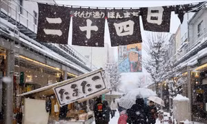 Cảnh báo tuyết rơi dày làm gián đoạn giao thông ở Tokyo