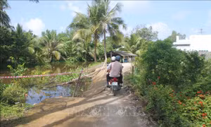 Khảo sát các điểm sạt lở, sụt lún ở Bạc Liêu