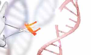 Israel và Mỹ hợp tác giải mã bộ gene người bằng AI