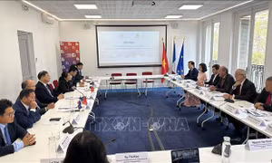 Nam Định tăng cường xúc tiến đầu tư thương mại với các doanh nghiệp Pháp