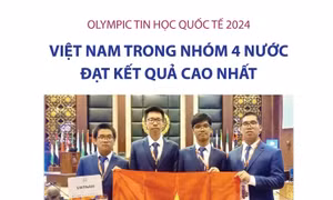 Olympic Tin học quốc tế 2024: Việt Nam trong nhóm 4 nước đạt kết quả cao nhất