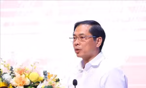 Quán triệt sâu rộng chủ trương, chính sách của Đảng và Nhà nước về công tác người Việt Nam ở nước ngoài
