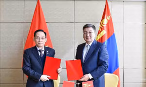 Trưởng ban Đối ngoại Trung ương Lê Hoài Trung làm việc với lãnh đạo các chính đảng tại Mông Cổ