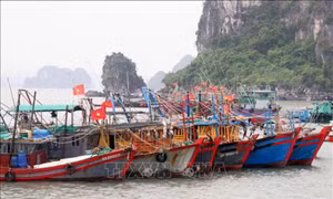 Quảng Ninh kiên quyết nói ‘không’ với tàu cá ‘3 không’