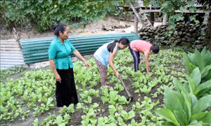 Xây dựng Đảng, chính quyền ở vùng đồng bào dân tộc Mảng - Bài 3: Ổn canh, ổn cư để xóa đói giảm nghèo