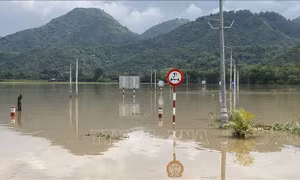 Mưa lớn gây ngập lụt, cô lập một số khu vực ở Đồng Xuân, Phú Yên
