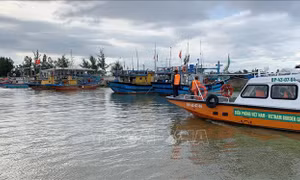 Quảng Nam triển khai nhiều biện pháp phòng, chống bão Nesat