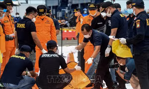 Đưa các phần thi thể nạn nhân và mảnh vỡ máy bay về cảng quốc tế Jakarta