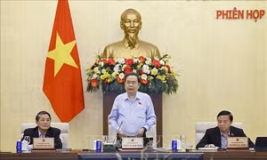 Khai mạc Phiên họp thứ 55 của Ủy ban Thường vụ Quốc hội
