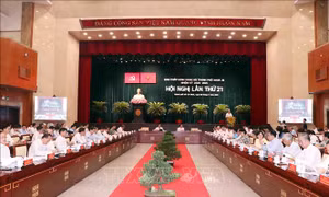 TP Hồ Chí Minh tập trung dồn lực đưa Nghị quyết 98 vào cuộc sống