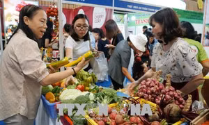 Giải pháp nào cho phân phối nông sản hữu cơ?