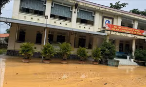 Lâm Đồng: Nguy cơ sạt lở tại khu vực đồi đất sát Trường Tiểu học Quang Trung 