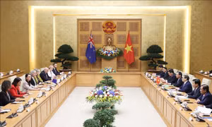 Thủ tướng Phạm Minh Chính hội đàm với Thủ tướng New Zealand