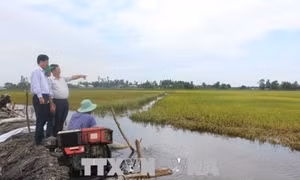 Quản lý tài nguyên nước - Bài 2