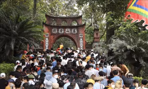 https://cdnmedia.baotintuc.vn/Upload/DmtgOUlHWBO5POIHzIwr1A/files/2022/04/10/den-hung-10042022-06.jpeg