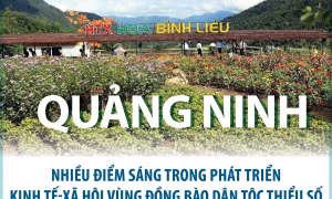 Quảng Ninh: Nhiều điểm sáng trong phát triển KT-XH vùng đồng bào dân tộc thiểu số 