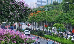 Ảnh hưởng không khí lạnh: Bắc Bộ, Bắc Trung Bộ trời chuyển mát, vùng núi Bắc Bộ có nơi trời lạnh