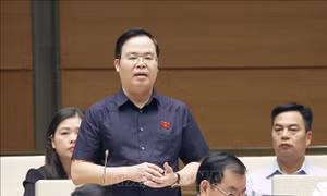 Đảm bảo minh bạch trong dự án Luật Đất đai (sửa đổi)