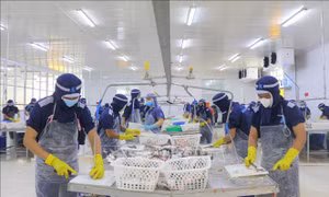 Việt Nam xuất siêu trên 3 tỷ USD trong tháng đầu năm