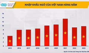 Doanh nghiệp thức ăn chăn nuôi trước giá nguyên liệu biến động không ngừng
