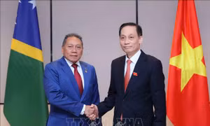 Thúc đẩy quan hệ hữu nghị và hợp tác giữa Việt Nam và Solomon