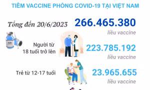 Tình hình tiêm vaccine phòng COVID-19 tại Việt Nam tính đến hết ngày 20/6/2023