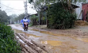 Hàng trăm hộ dân khổ sở vì đường liên xã xuống cấp nghiêm trọng