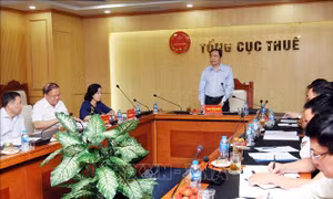 Giám sát việc thực hiện nhiệm vụ lĩnh vực thuế, hải quan tại Tổng cục Thuế 