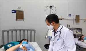 Bộ Y tế ban hành hướng dẫn mới về chẩn đoán, điều trị sốt xuất huyết Dengue