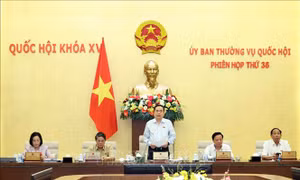 Phiên họp thứ 36 Ủy ban Thường vụ Quốc hội: Chuẩn bị từ sớm, từ xa, đảm bảo chất lượng, hiệu quả 