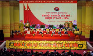  Quảng Ngãi phấn đấu trở thành một cực tăng trưởng quan trọng ở miền Trung - Tây Nguyên